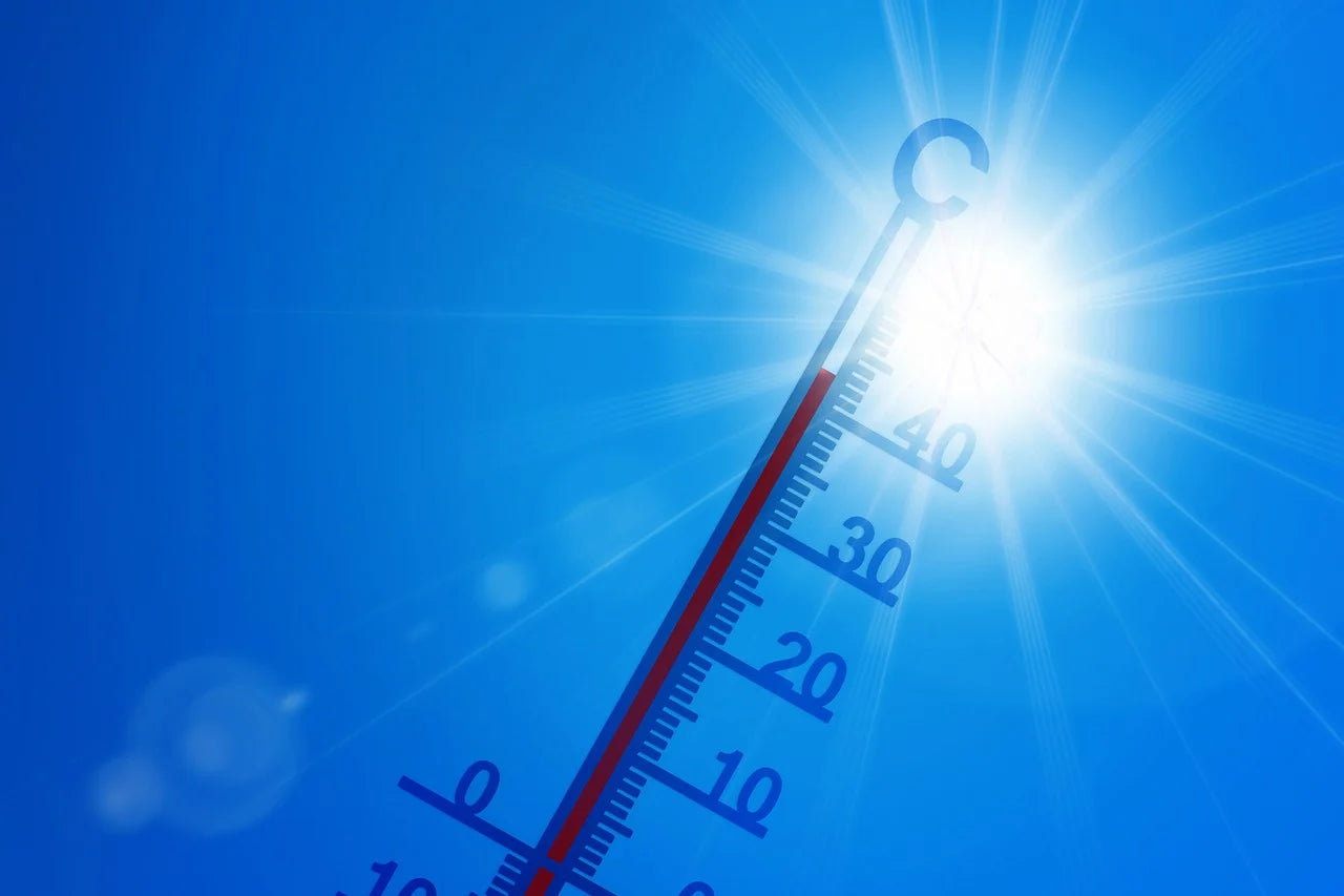 Bild eines Thermostats in der Sonne